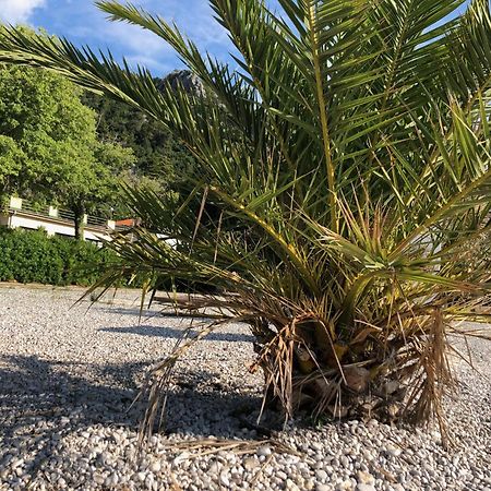 Villa Sabine Apartment Losinj Medveja Zewnętrze zdjęcie
